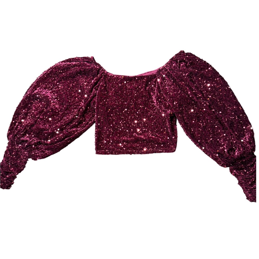 Willow + Root Sequin Puff Sleeve Crop Top XXL Burgundy Excellent Velvet Glam